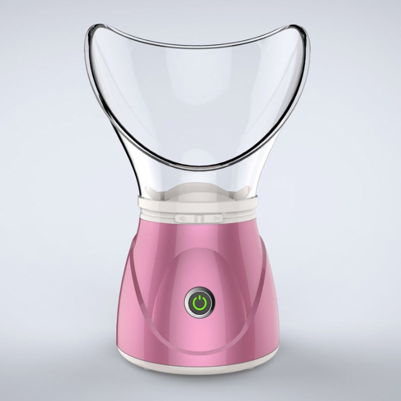 Facial Steamer