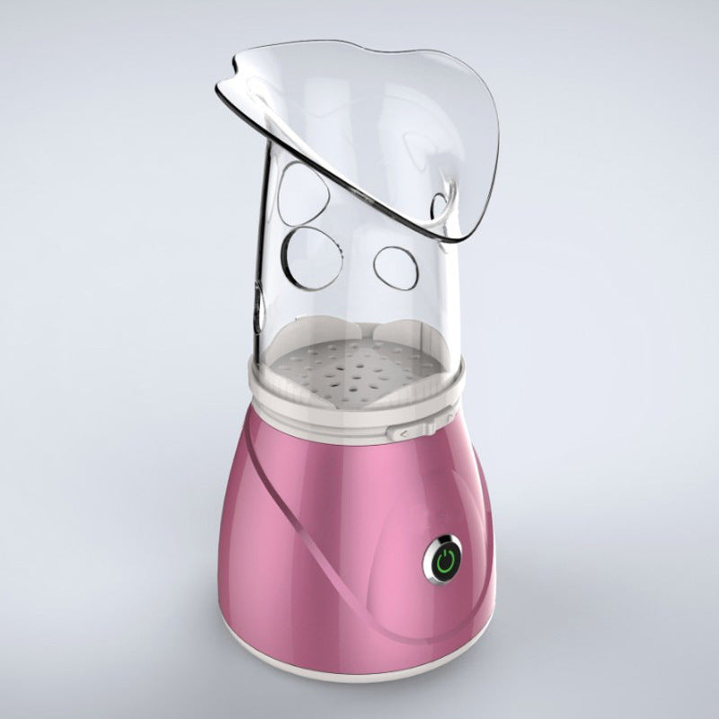 Facial Steamer